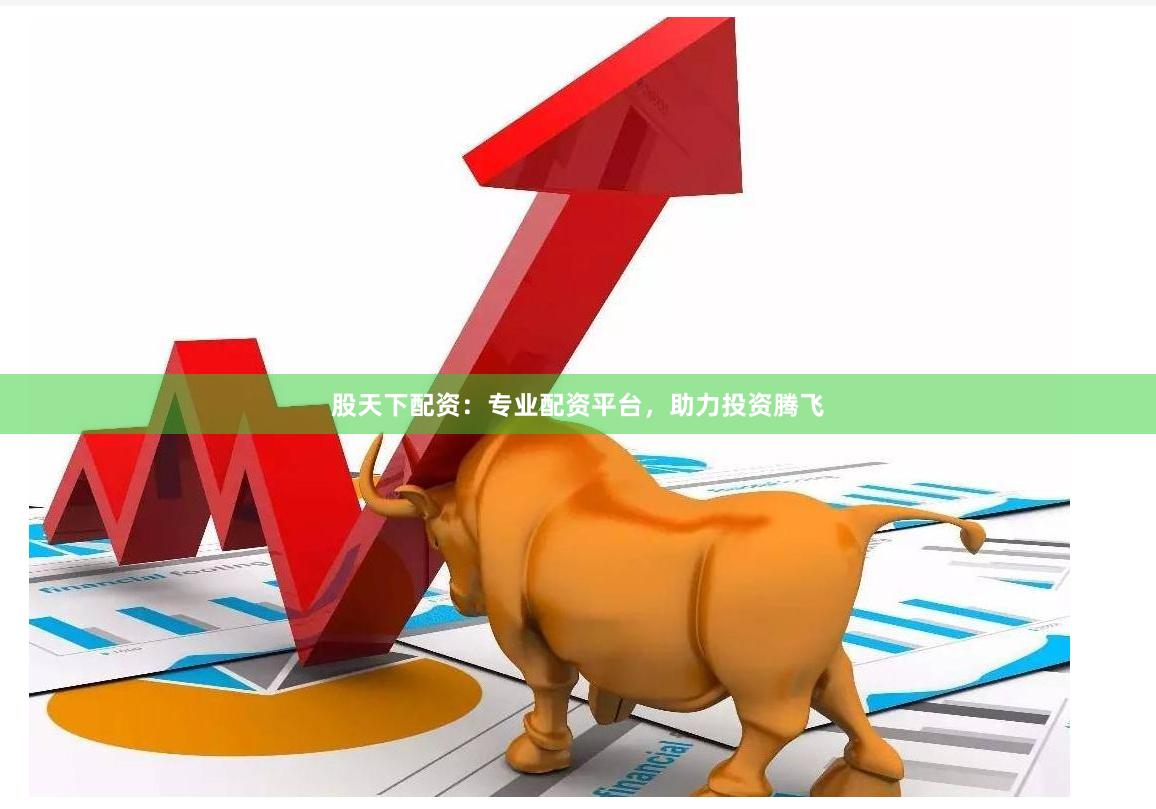 股天下配资：专业配资平台，助力投资腾飞